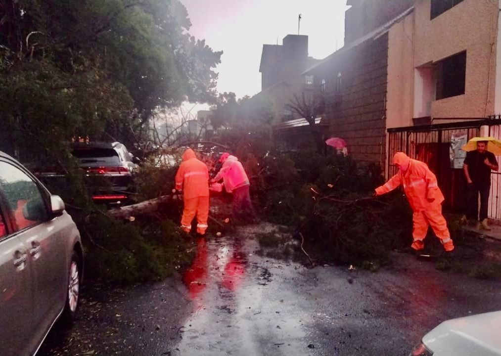 ⚠️ Última Hora |

Personal de #ProtecciónCivil 🦺 de la Alcaldía se encuentra en calle Llano, col.  Hacienda San Juan para seccionar y retirar los 3 árboles que se cayeron.

#OperativoRelámpago ⚡️