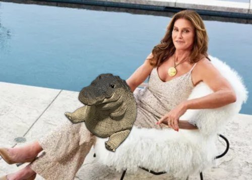 kaijicat's tweet photo. Everyone here at @gomugator supports and looks forward to the success of $jenner, to the moon 🚀

$jenner 🤝 $gomu https://t.co/sYPpefXhKz