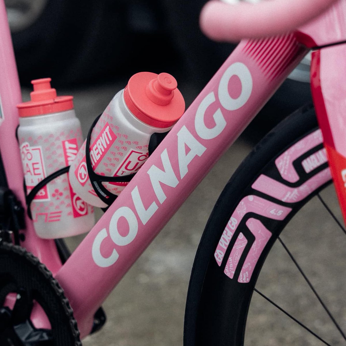 ローザページです♥️ マリアローザカラーのスペシャル V4Rsのディテールを紹介！ 見事