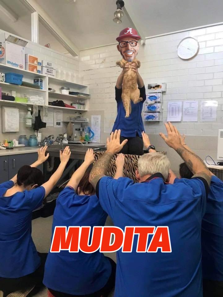 Roll ‘Bama Roll (@rollbamaroll) on Twitter photo 