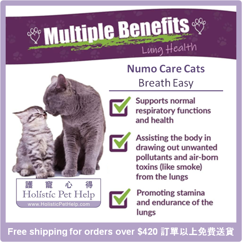 holisticpethelp.com/en/numo-care-c
#holisticpethelp #cats #respiratory #herbal