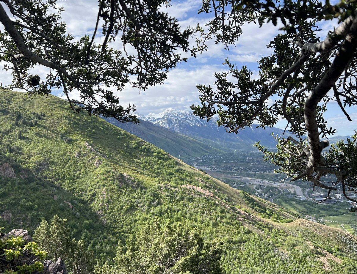 'Faculty members conquering Mount Olympus today! 🏔️ From tackling a grueling 4000 ft elevation gain to scrambling to the 9000 ft summit, they're not providers, they're adventurers! At @UofUHematology we nurture that spirit ❤️#MountOlympus #AdventureFaculty'@ErmannMD