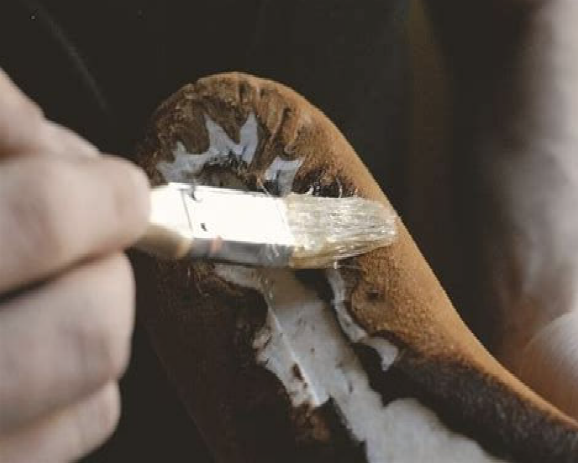 Xuchuanchem's tweet photo. Polyurethane shoe glue is a high-performance adhesive specifically designed for bonding various materials commonly used in footwear manufacturing and repair.
#xuchuan #polyester #iso #polyol #adhesive #pur #shoes #polyurethane #pu #glue #manufacturer https://t.co/Ba2keGxTyU