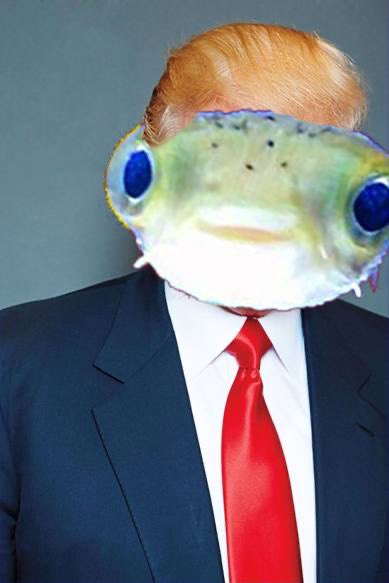 <a href="/ProTheDoge/">SlumDOGE Millionaire</a> $PUF is the one retail needs to come to in #Crypto on #Solana 

CA:

E9P7aDEx4gPVG6UeYqZkwzFTAptKpJz98rCTjsfDrfWG