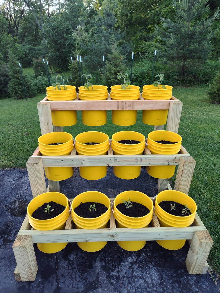 Mark Schwanke tweet media