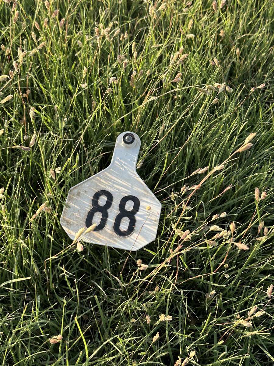 #88’ Our girl passed away