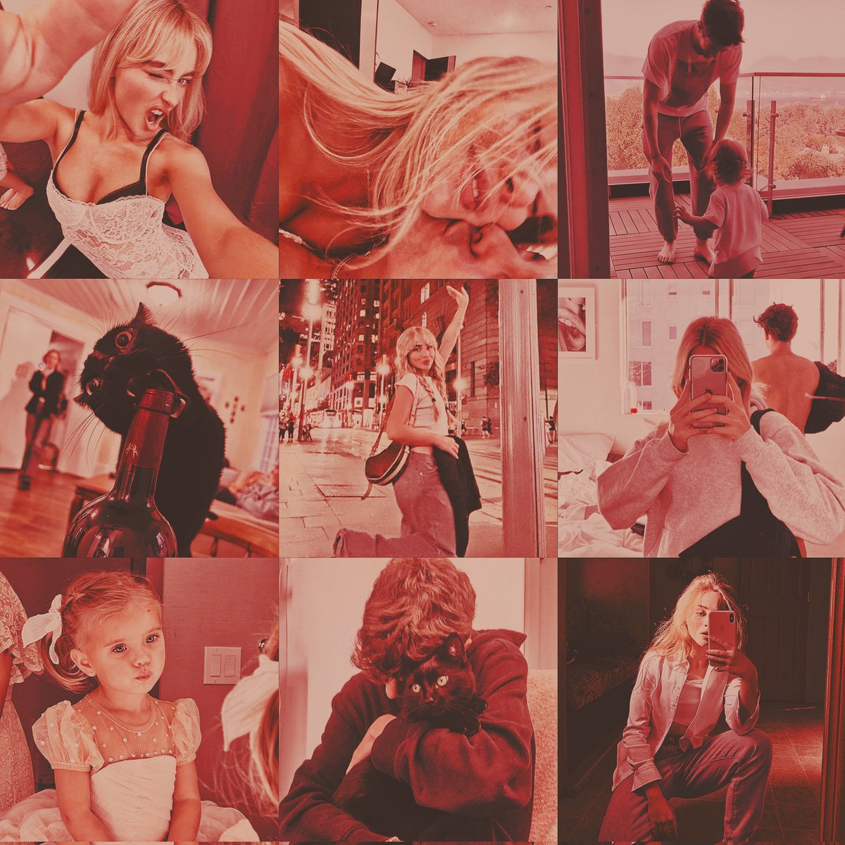 ㅤ 
ㅤ 
ㅤㅤ  ˑ ִ ֗📸 ִ ۫ ˑ⋆ 𝚂𝚃𝙴𝙻𝙻𝙰'𝚂 𝙲𝙰𝙼𝙴𝚁𝙰 𝚁𝙾𝙻𝙻
ㅤ 
ㅤ