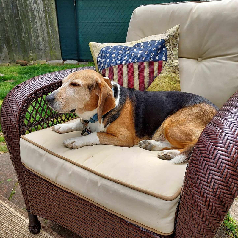 Wishing all our #beagle frens a safe & happy #Memorialday in remembrance of all who made the ultimate sacrifice Celebrating summer too? Remember, fireworks & crowds can stress #beagles. If your pup's anxious, provide a quiet space & check on them often #BeagleLove #dogsoftwitter