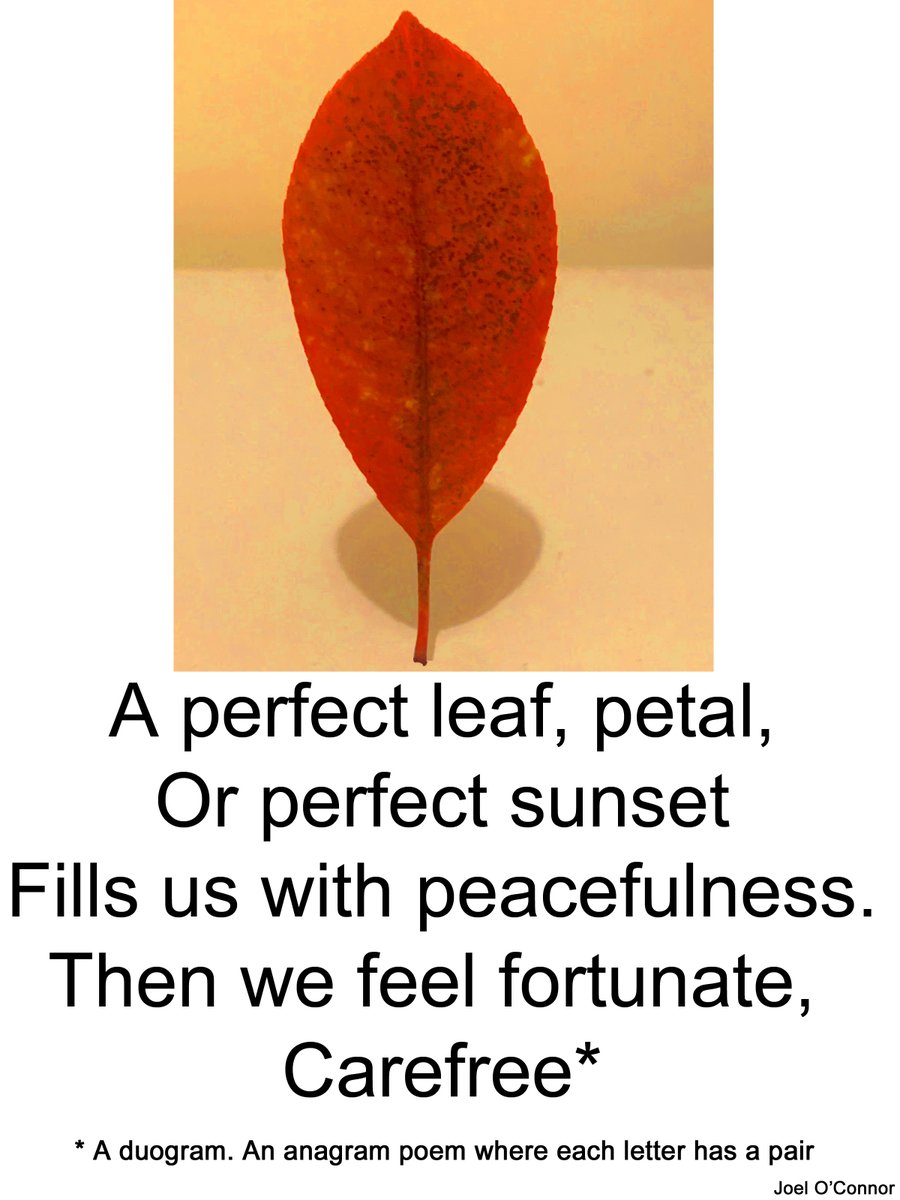 A perfect leaf, petal,
Or perfect sunset
Fills us with peacefulness.
Then we feel fortunate,
Carefree*

*Duogram. An anagram where each letter has a pair
#Melbourne #Australia #creativewriting #POEMS #poetry #poetrycommunity #peacefulworld #naturelove #hope #resiliance #humanity