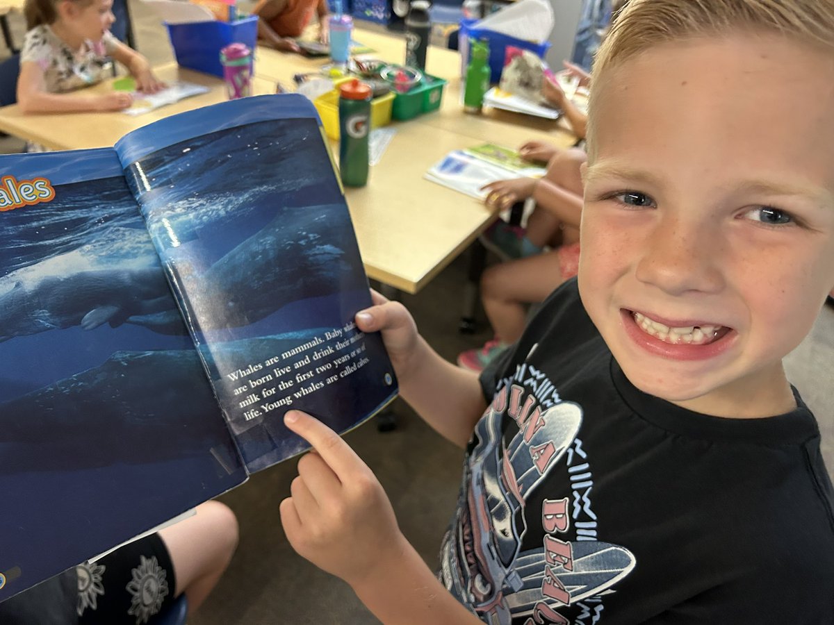 We are phonics finders 🔍 looking for blends and digraphs as we read 📚 <a href="/ghapspeach/">GHAPS-Peach Plains</a>