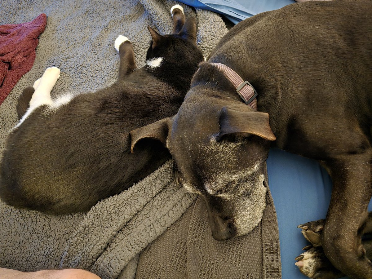 We tuxies stick together.