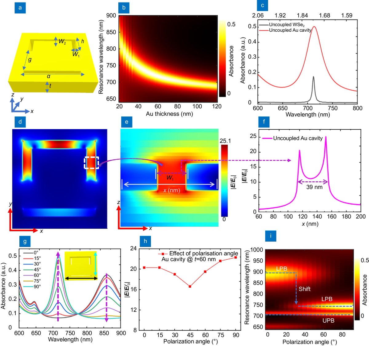 'Strong coupling and catenary field enhancement in the hybrid plasmonic metamaterial cavity and TMDC monolayers', published in Opto-Electronic Advances @OptoElectronAdv View original article oejournal.org/article/doi/10…
