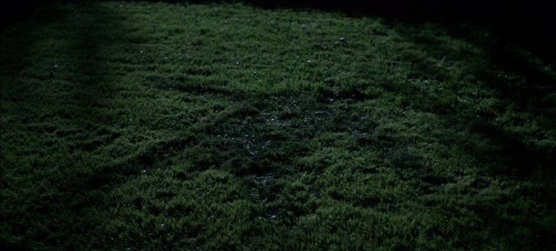 ill never get over this looney tunes ass imprint that michael myers left in the grass