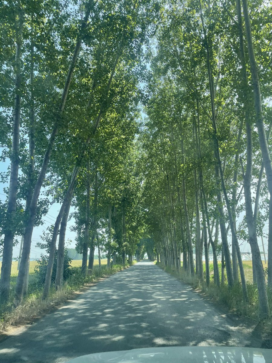 济南90 tweet media