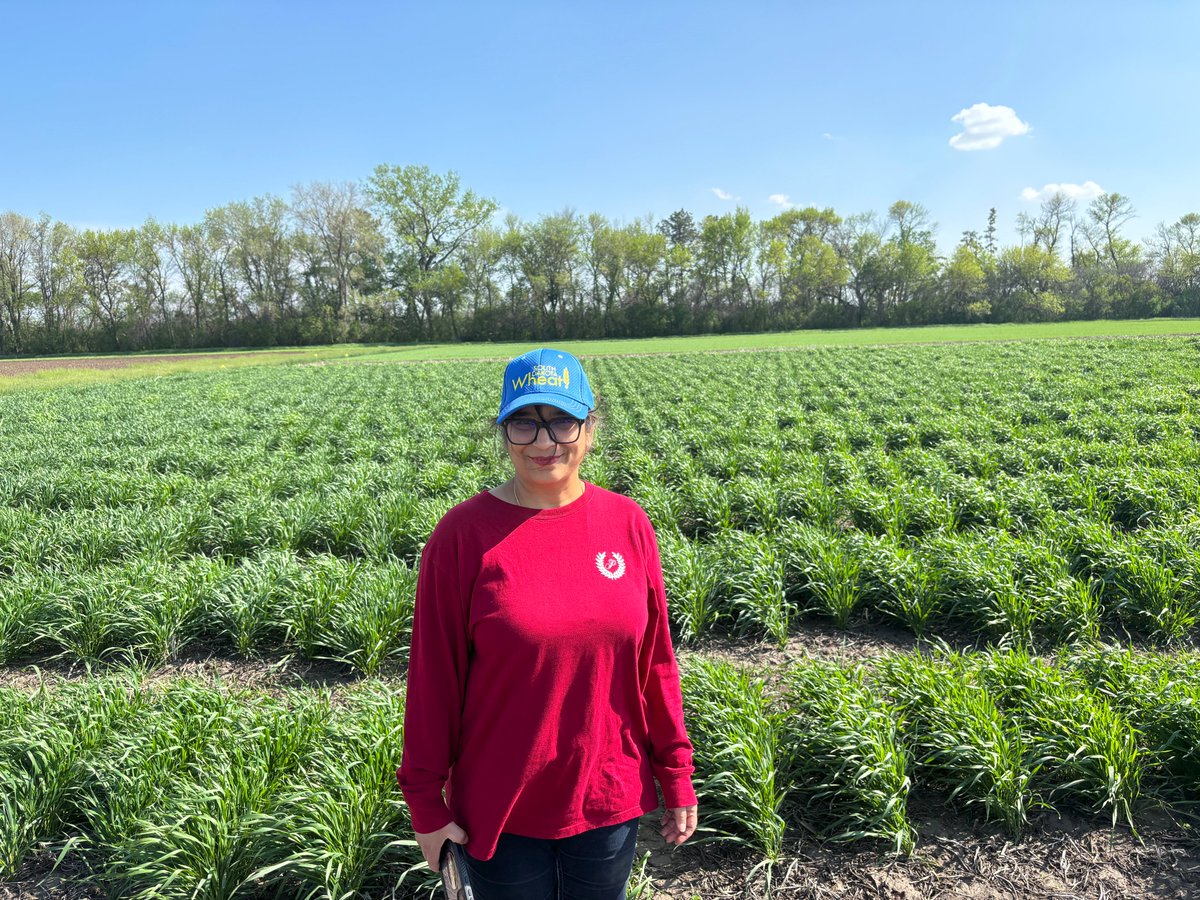 WheatInnovation's tweet photo. A new member of Wheaties!
Dr Keerthi Mandyam is the new Soil Microbiologist at SDSU. Her group will focus on Soil Health @SDSHCoalition
Guess what is her first project onπ
#NoTillWorks #Microbiome #NUE https://t.co/9UiO3nHvL8