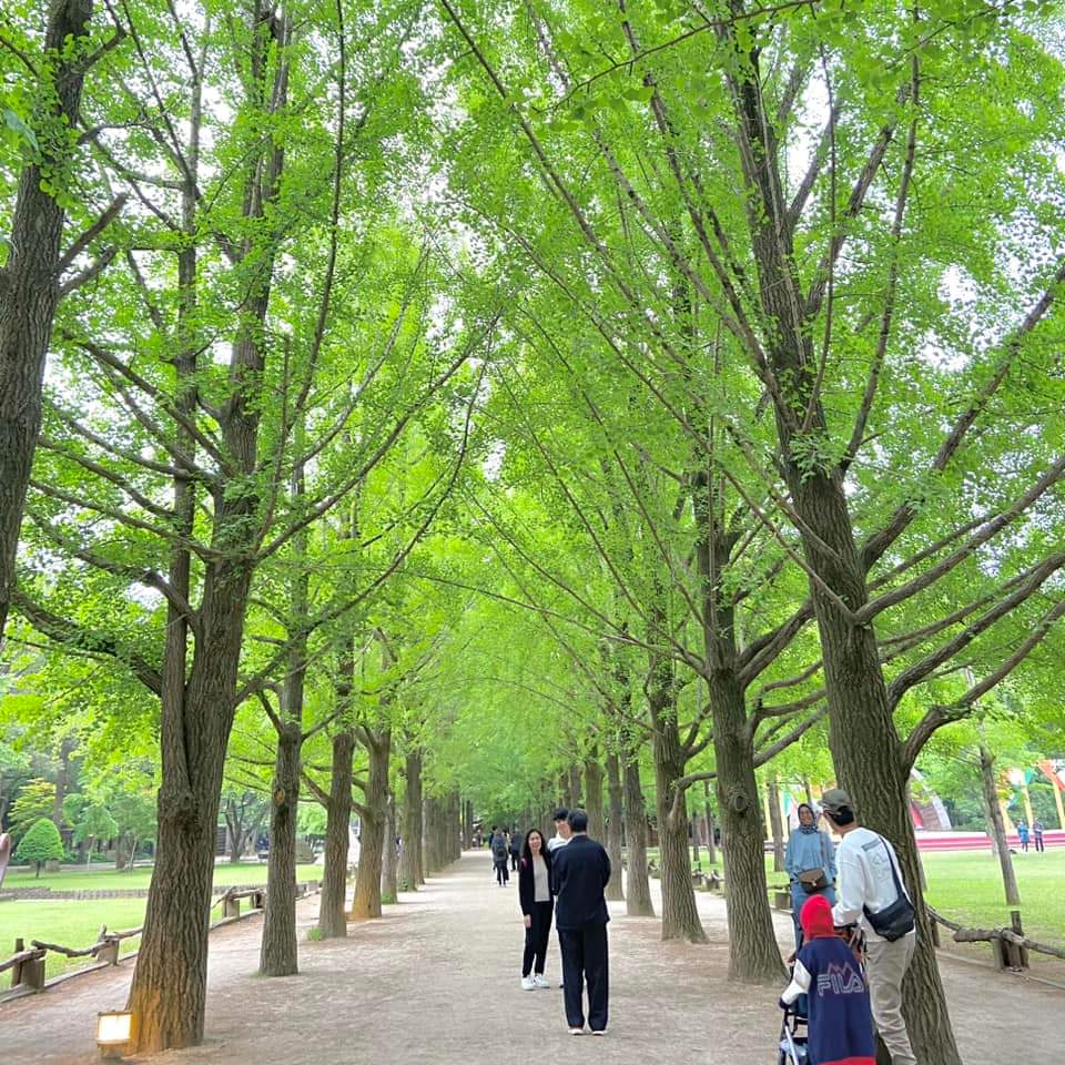 TravelJimat's tweet photo. Hari ke 4, kami amik pakej Nami Island + petite france + itallian village di Agoda sebab lagi murah dari klook. Ada 3 option untuk pickup location, kami pilih pickup location 9 pagi di Namsan Yejang Public Parking Lot. Tour guide cakap english, cina &amp; korea https://t.co/iaH25wuKB3