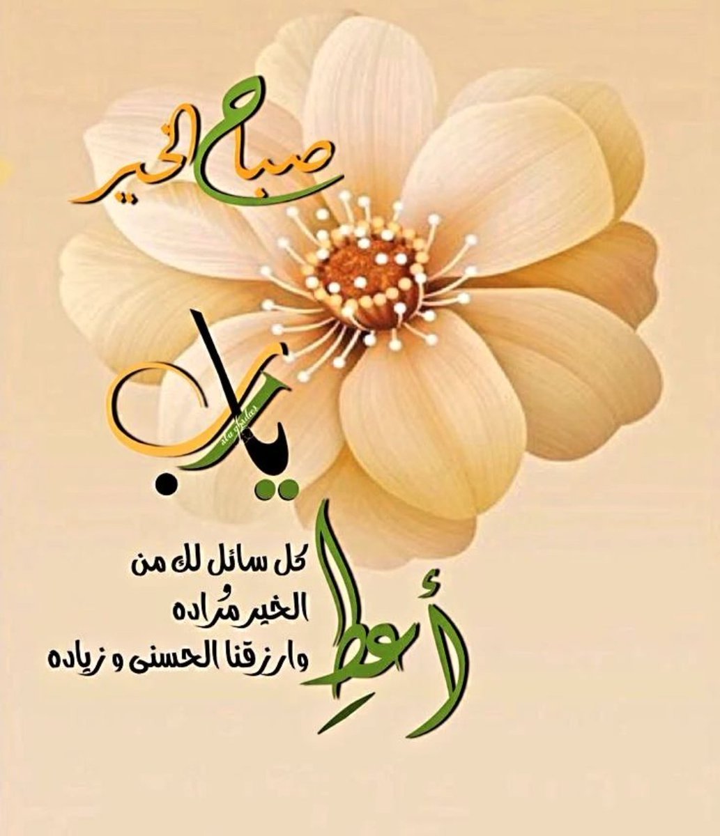 اللهـــــــــــــــــم اجعلنا ممن تمسك  بحبلك المتين، وأجعلنا  بالعروة الوثقى من المعتصمين، وألهمنا من الرشد ما يجعلنا من الراشدين ومن  خشيتك ما يبلغنا  مكانة المتقين، ومن طاعتك ما تلحقنا به مع الصالحين 

#صبحــكم_اللـه_بالخيـــر🌱