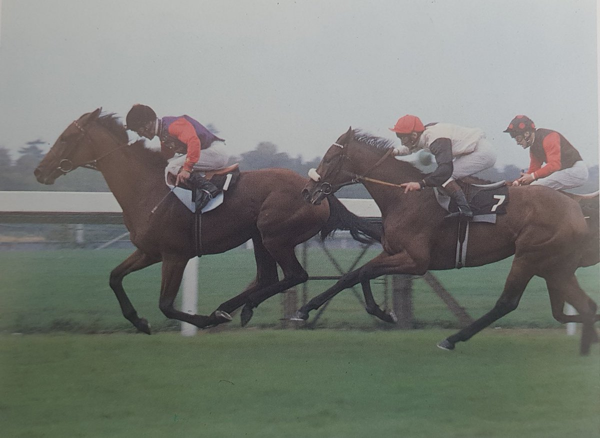 ArnoldPinnock's tweet image. HEIGHT OF FASHION (GB) Bay Mare 1979 Bustino - Highclere by Queen’s Hussar. Owner: 1) Queen Elizabeth II 2) Hamdan Al Maktoum. Breeder: Queen Elizabeth II. Trainer: Dick Hern. Seen here winning the 1981 Fillies Mile. Dam of  Unfuwain, Nashwan, Nayef &amp;amp; Alwasmi.