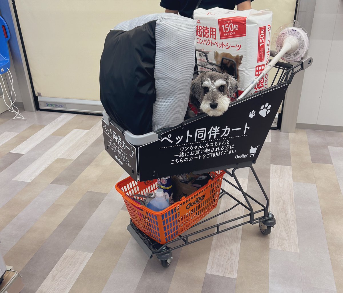 お買い物中