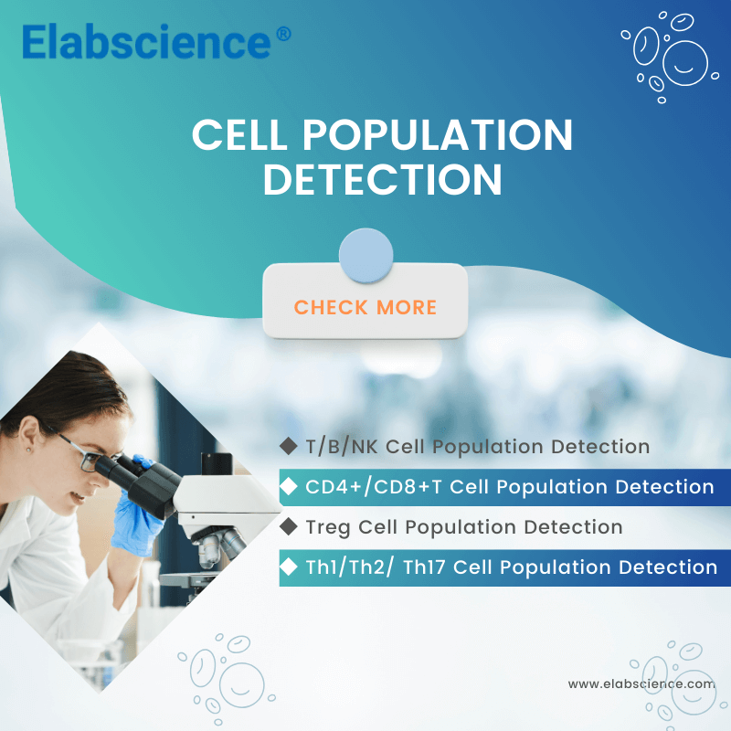 Elabscience_bio's tweet image. 🔥 4 types of cell population detection, each one including the cell function, panel design, information of flow cytometry antibodies and assay result. 👉 Check them here: elabscience.com/t_b_nk_cell_po…

#celldetection #cellfunction #flowcytometry #tcell #bcell #tregcell