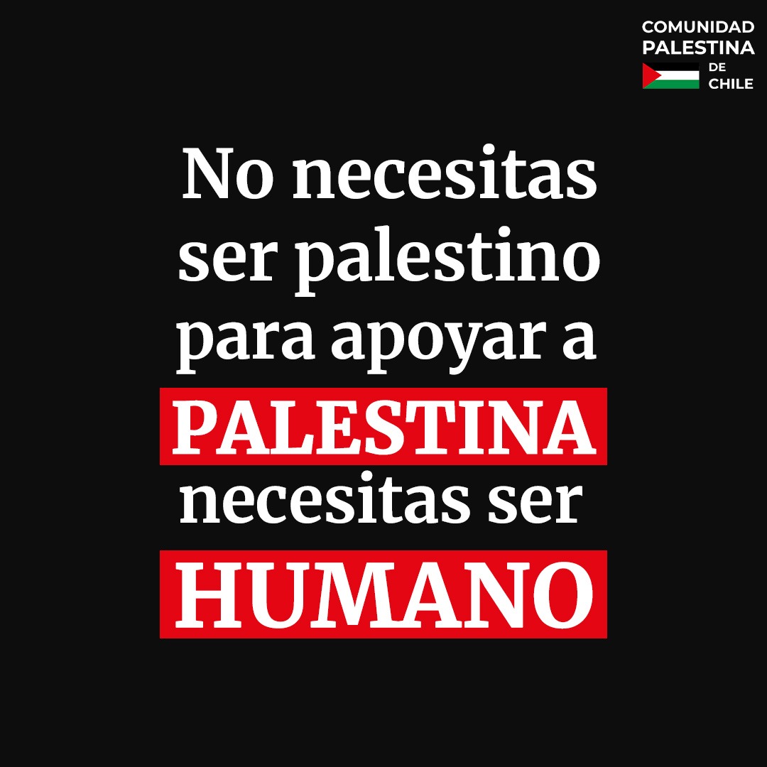 Palestina Hoy (@HoyPalestina) on Twitter photo 2024-05-27 02:50:14