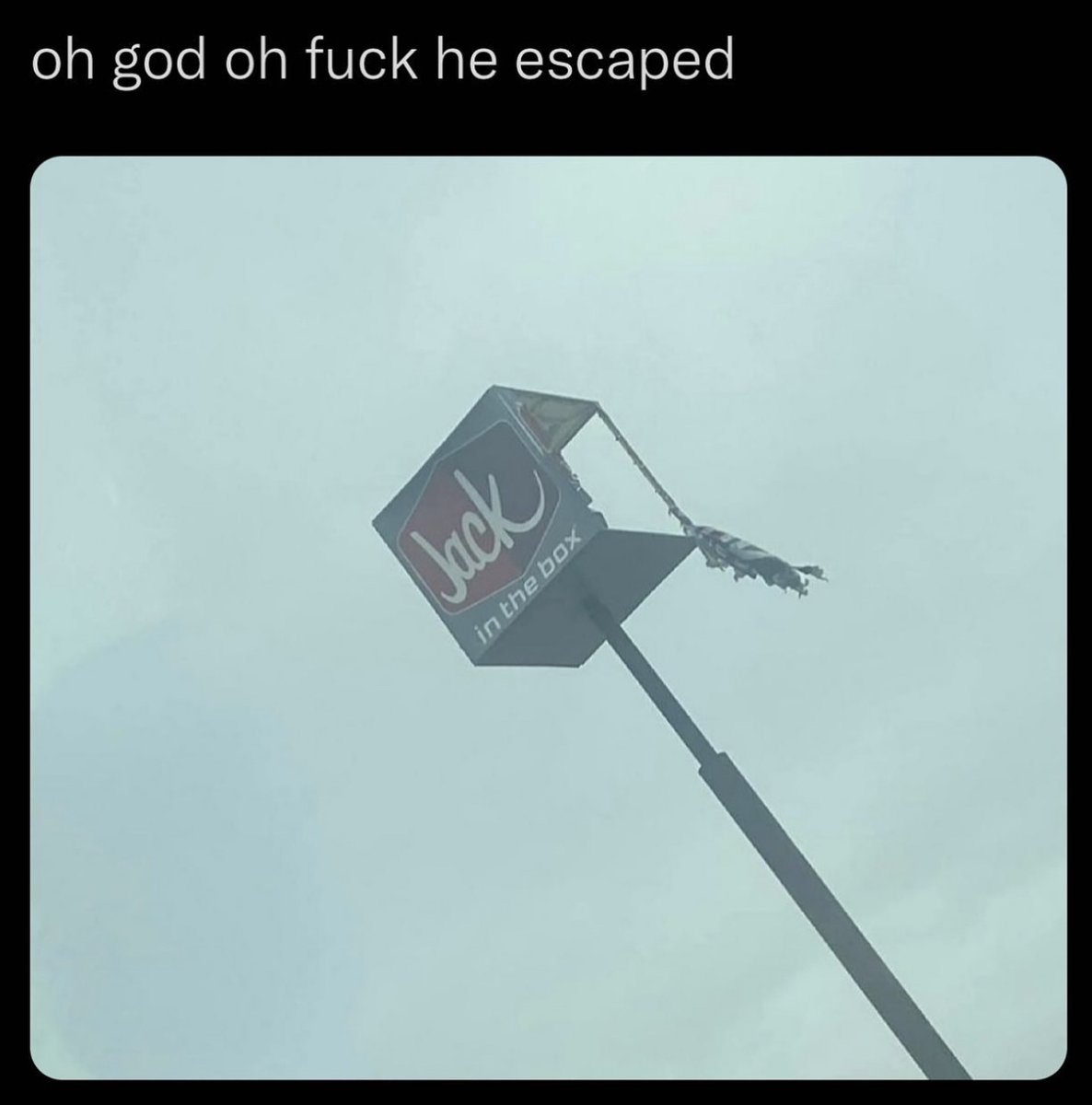 i like food tweet media