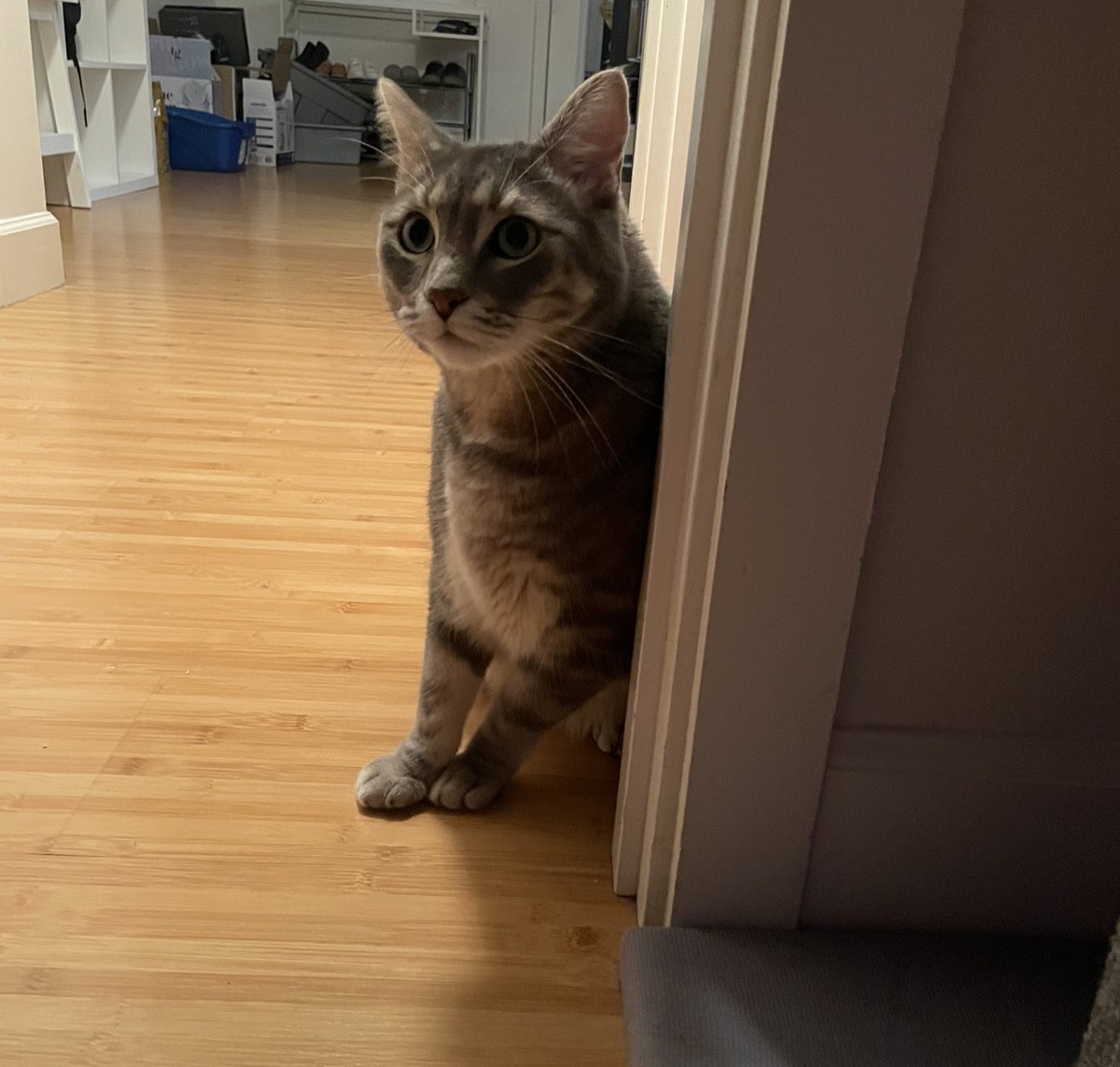 Tuckatee's tweet photo. His reaction to me saying, “Hey buddy, if you have time to lean, you have time to clean.” https://t.co/NEvvxIu7ev