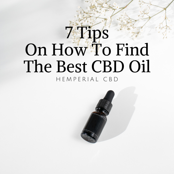 HemperialCBD's tweet photo. 7 Tips On How To Find The Best CBD Oil For Sale
https://t.co/nIdgQdevfd https://t.co/wZh4hvvKS1