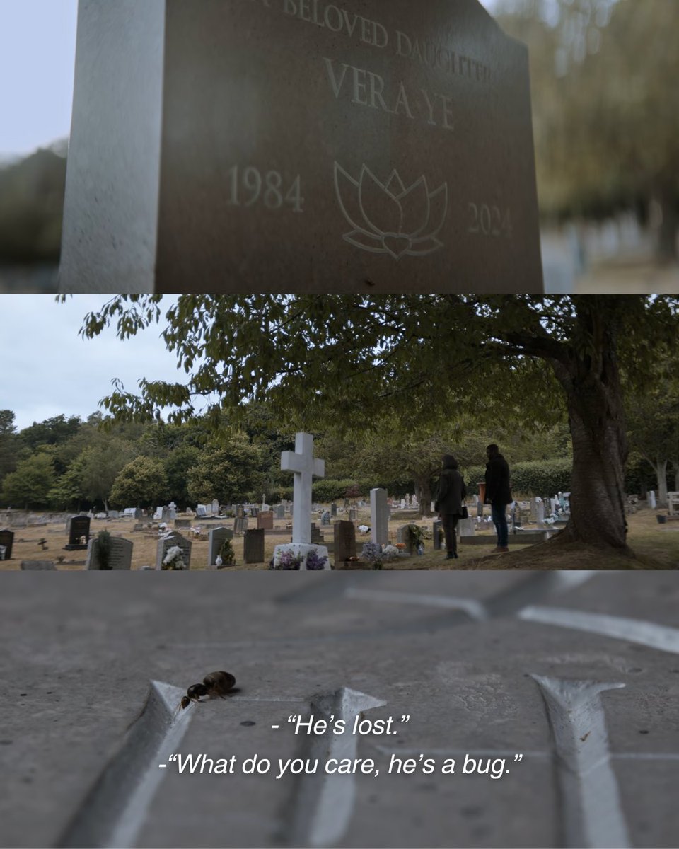 3bodyuniverse's tweet photo. The ant is navigating a tombstone that exists for reasons beyond its comprehension, made by tools beyond its comprehension, by creatures beyond its comprehension. 

What the ant sees as natural stone, is actually a grave, deliberately shaped by beings of higher intelligence.

What the human race sees as a natural Universe, is actually a grave, deliberately shaped by beings of higher intelligence.

#3BodyProblem #TheDarkForest