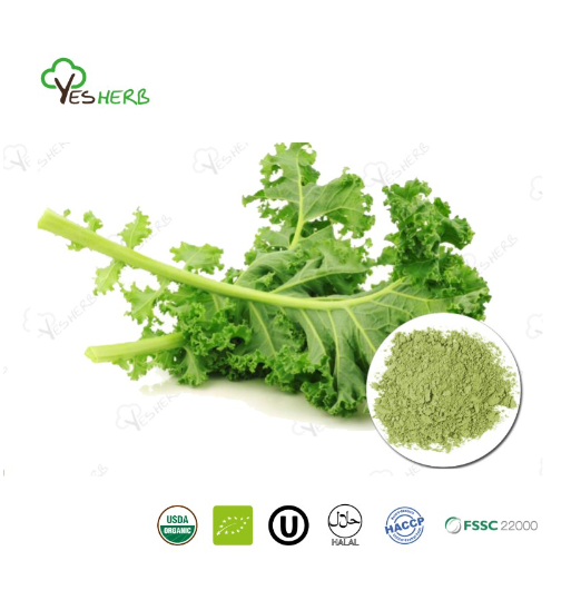 AnYuensun's tweet image. Experience the nutritional powerhouse of #KalePowder! Made from premium kale leaves, our powder is a versatile addition to #foodsupplements and health products. Rich in vitamins, minerals, and flavonoids, Kale Powder supports immune function and promotes #cardiovascularhealth.