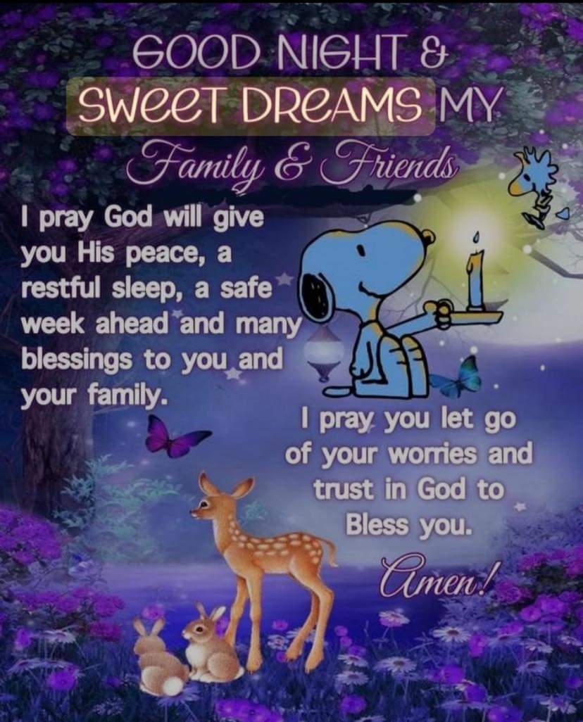 Good night everyone! Sleep well! 💤😴☺️💤 Please keep our military and veterans in your prayers! 🛐🙏🙏