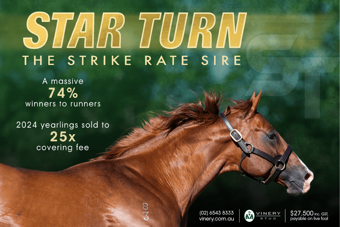 ⭐️ STAR TURN ⭐️ The strike rate sire 🤩 📈 74% winners to runners 📈 Yearlings sold to 25x covering fee @VineryStud