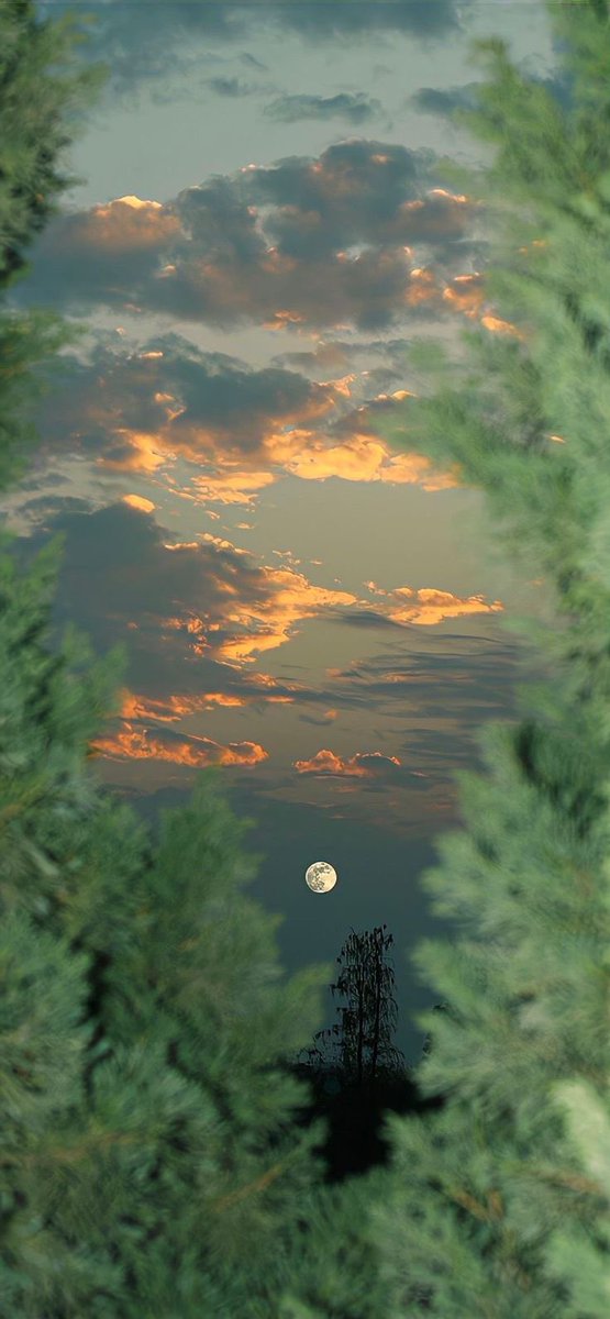 solace of sky.