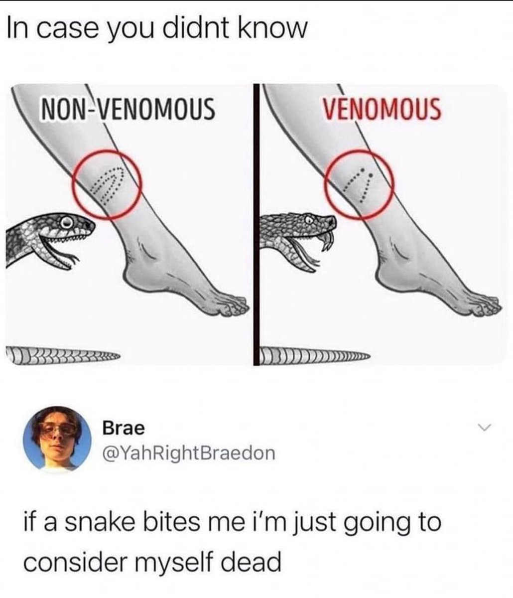 chaotic memes (@memechaotic) on Twitter photo 
