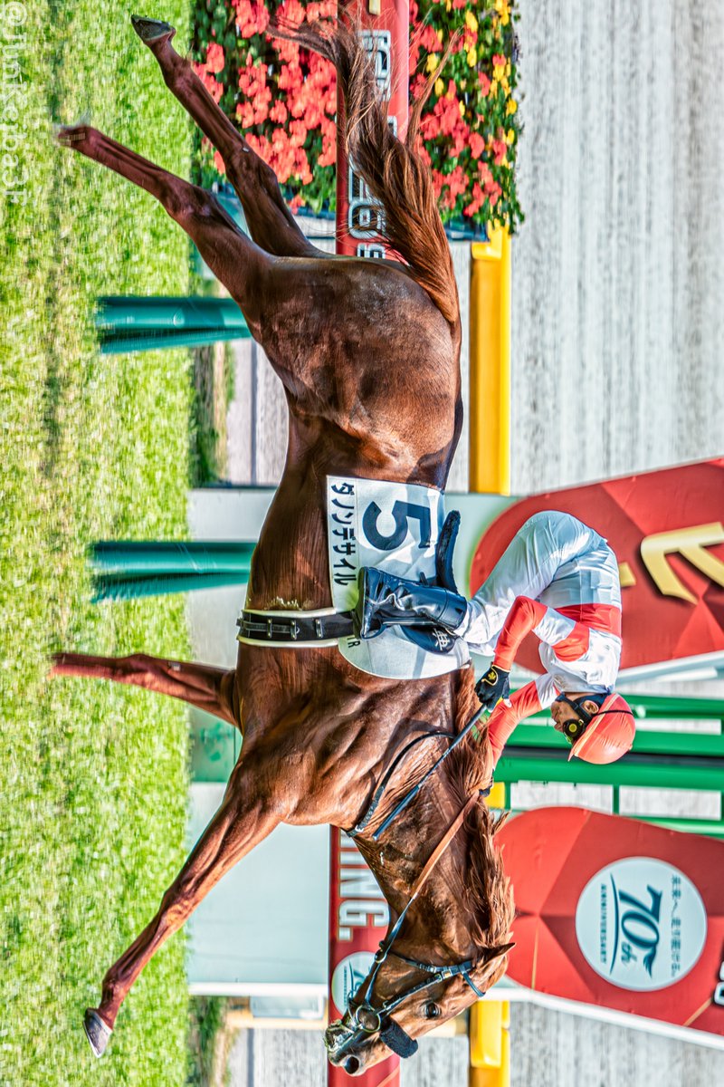 なんとなんと、勝ったのはダノンデサイル！！ 56歳横山典弘！！ これが
