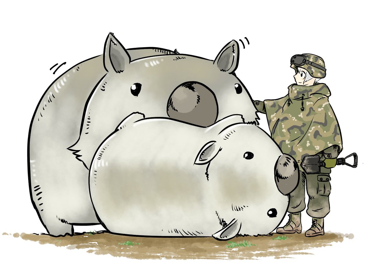 モ式 tweet media