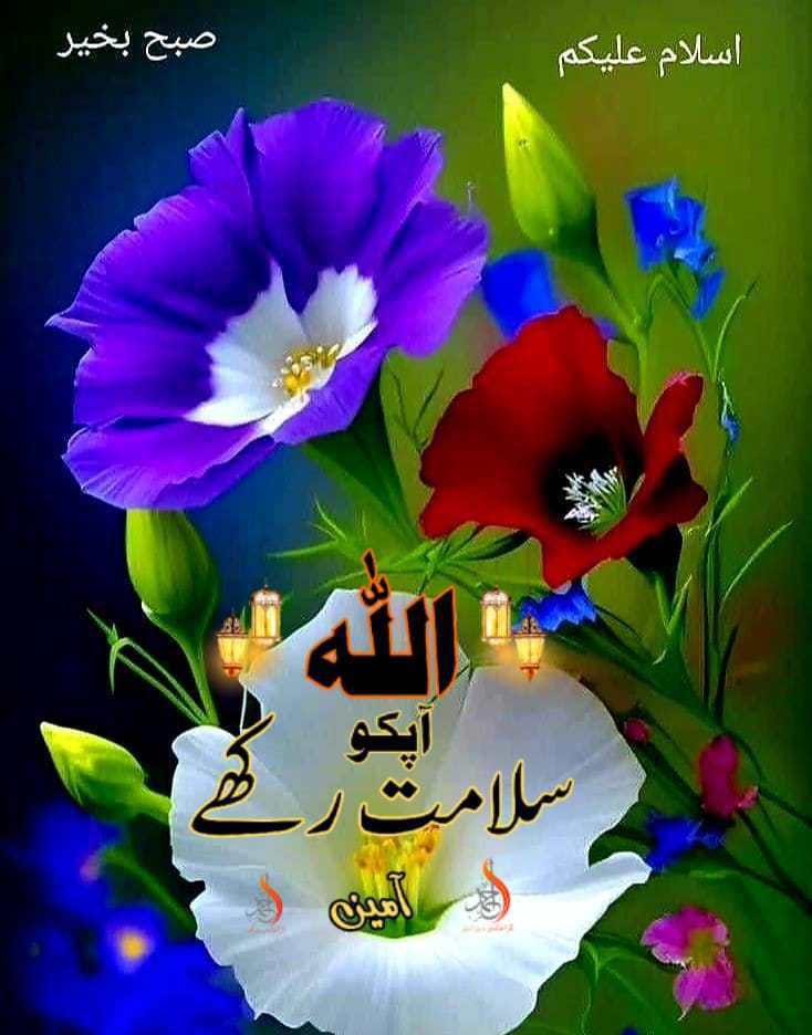 UsmanJanjua tweet media