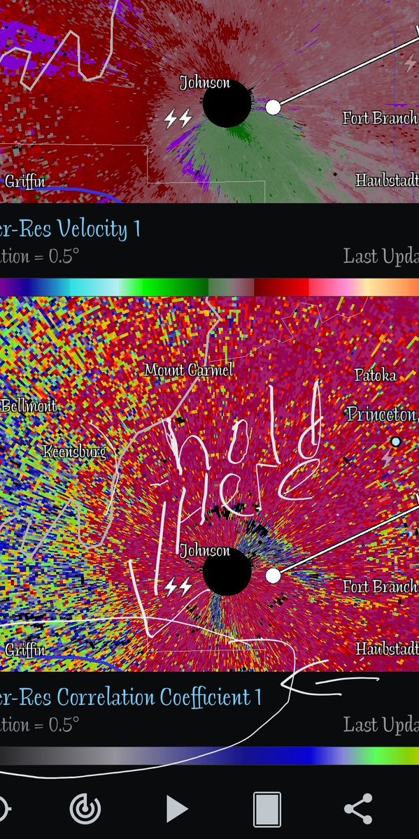 Kaedyn (Sarra) tweet media