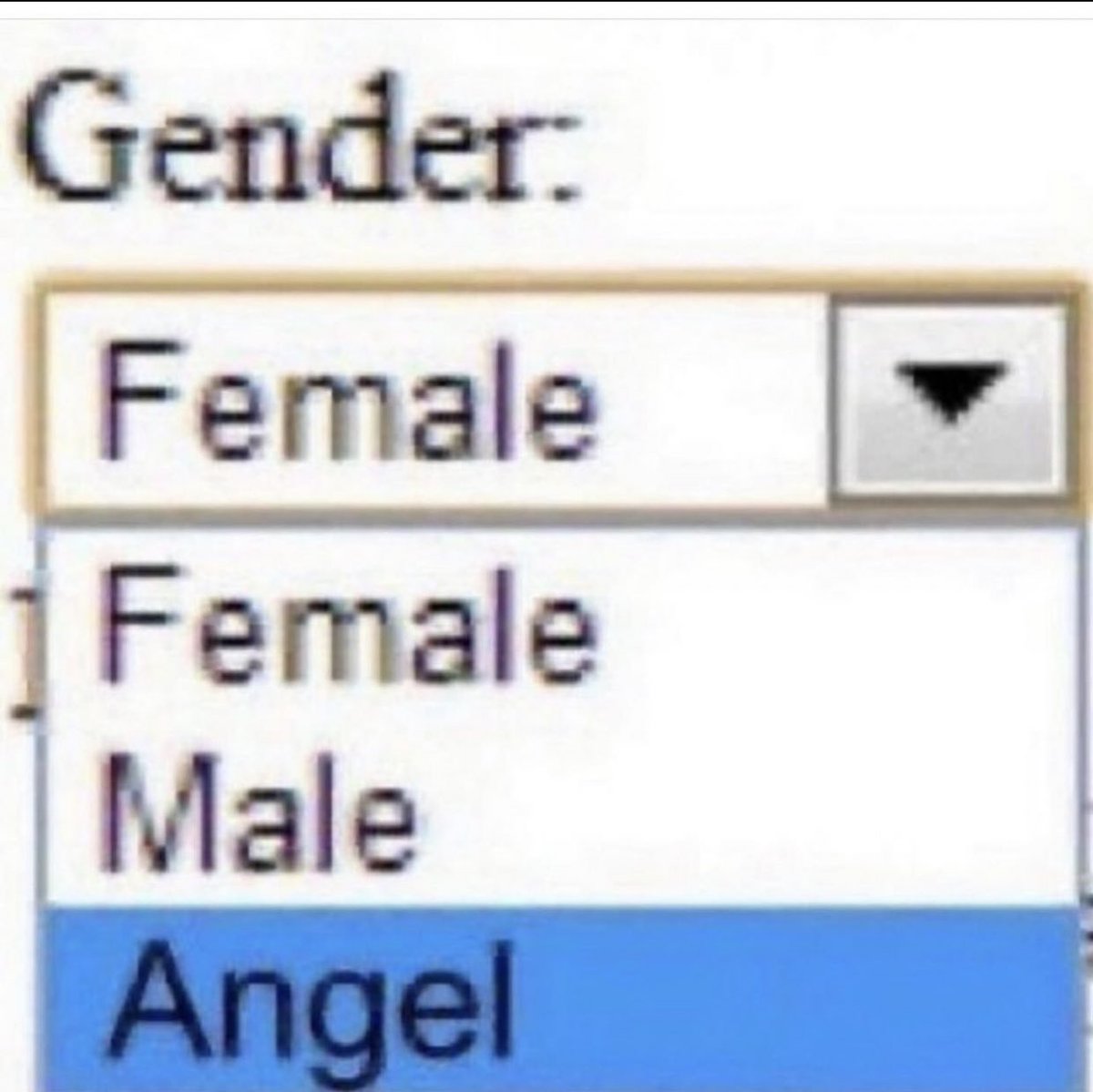 The Notorious J.O.V. (@whotfisjovana) on Twitter photo 