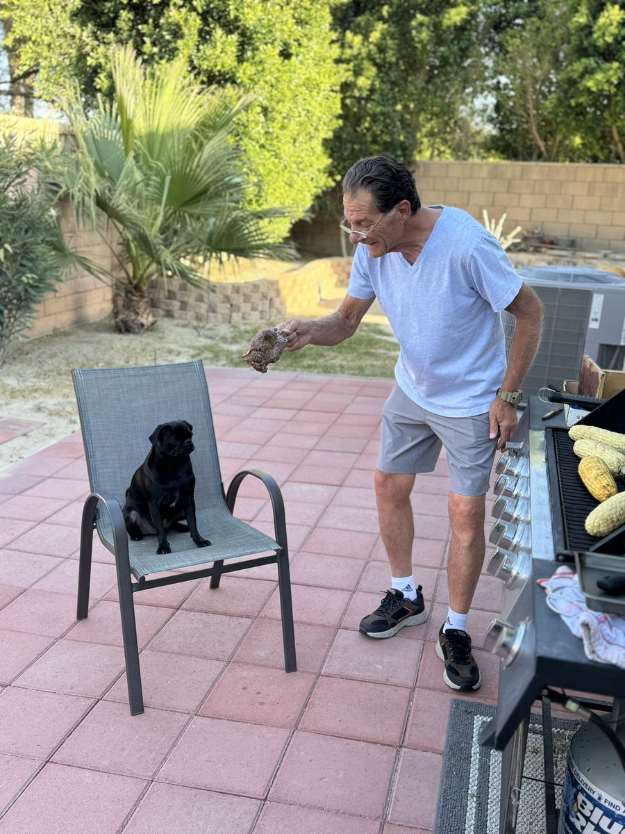 CocothePug2 tweet media