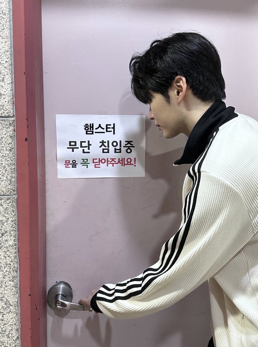 Aill (@h406ln_613aill) on Twitter photo 