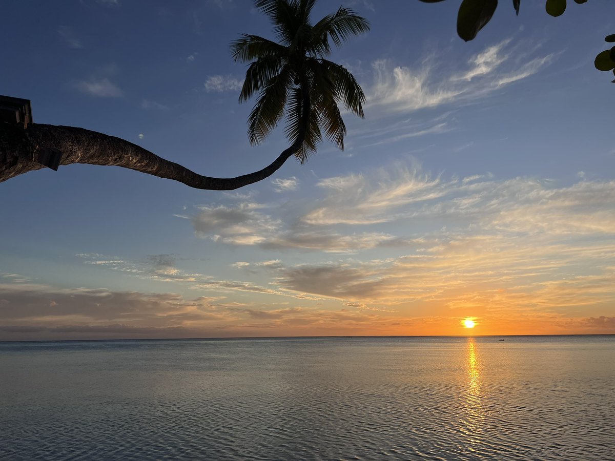 Final eve (official eve)… #ossFrenchPolynesia #FrenchPolynesia #swimming #wild #Pacific #Moorea #WeDontTakeYouJustAnywhere