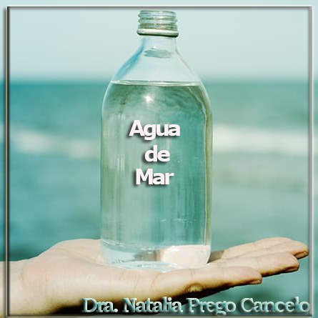 Agua de mar Con un 96,5 % de agua y un 3,5 % de sales, es rica en minerales esenciales como sodio, potasio, magnesio y calcio, los cuales son cruciales para mantener el equilibrio electrolítico en el cuerpo. Estos electrolitos juegan un papel vital en la función celular, la