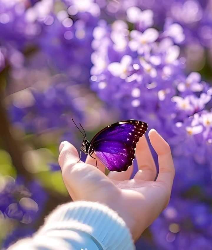 Yeni haftaya başladık. 
Rabbim sağlık versin
#günaydın nasılsın