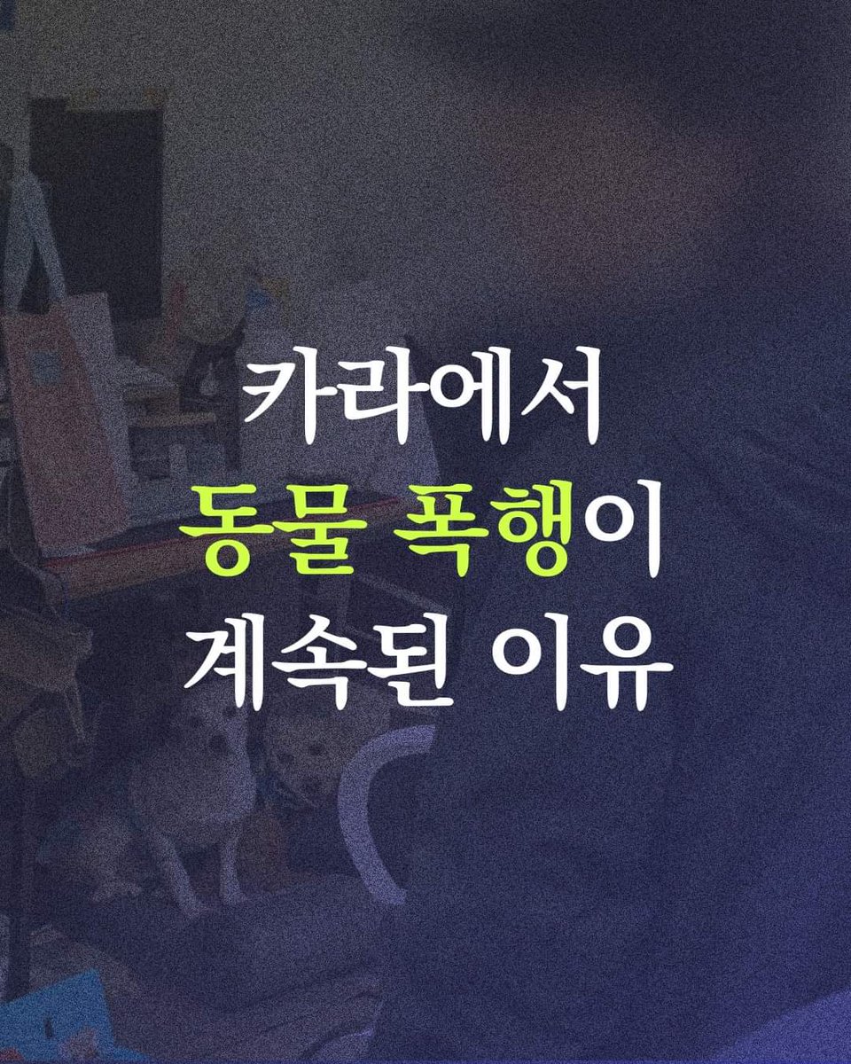 kara_laborunion's tweet photo. 오늘 카라의 동물 폭행 사건이 보도되었습니다. 여러모로 카라의 상황에 대해 굉장히 실망하셨거나 우려하시고 계신 것으로 이해됩니다. 당장 카라의 후원을 끊어야 할지도 고민되실 것이라고 생각합니다.
⠀
카라의 정상화를 위해 후원회원을 탈퇴하지 말고 저희와 함께 해주시길 부탁드립니다. https://t.co/1JEXDciB88