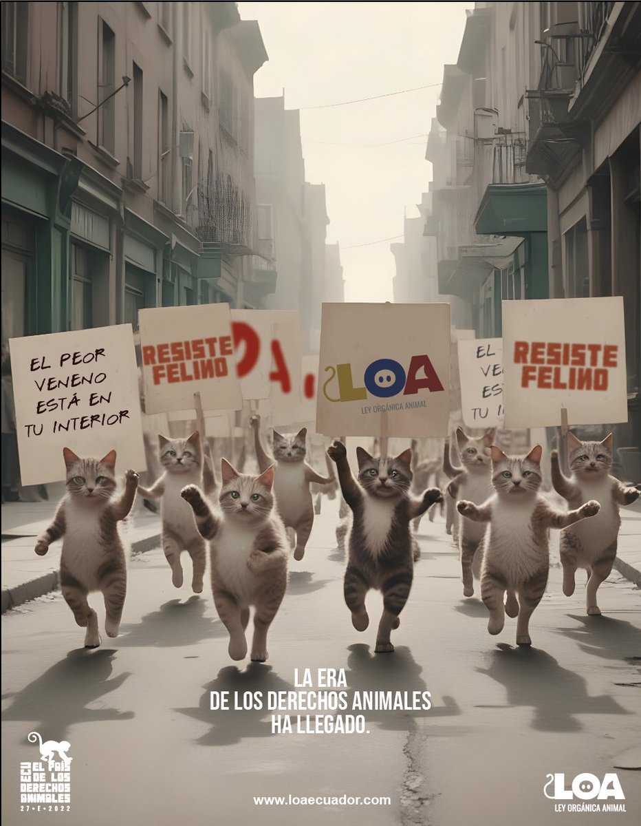 RescateAnimalEC's tweet image. La @LoaEcuador es un de las leyes más importantes que se hayan construido para luchar contra la violencia. El mundo entero reconoce a la violencia hacia los animales como un precursor y síntoma de violencia social. TODOS necesitamos la #LeyLOA
#YoApoyoLOA
@guidovargas1971