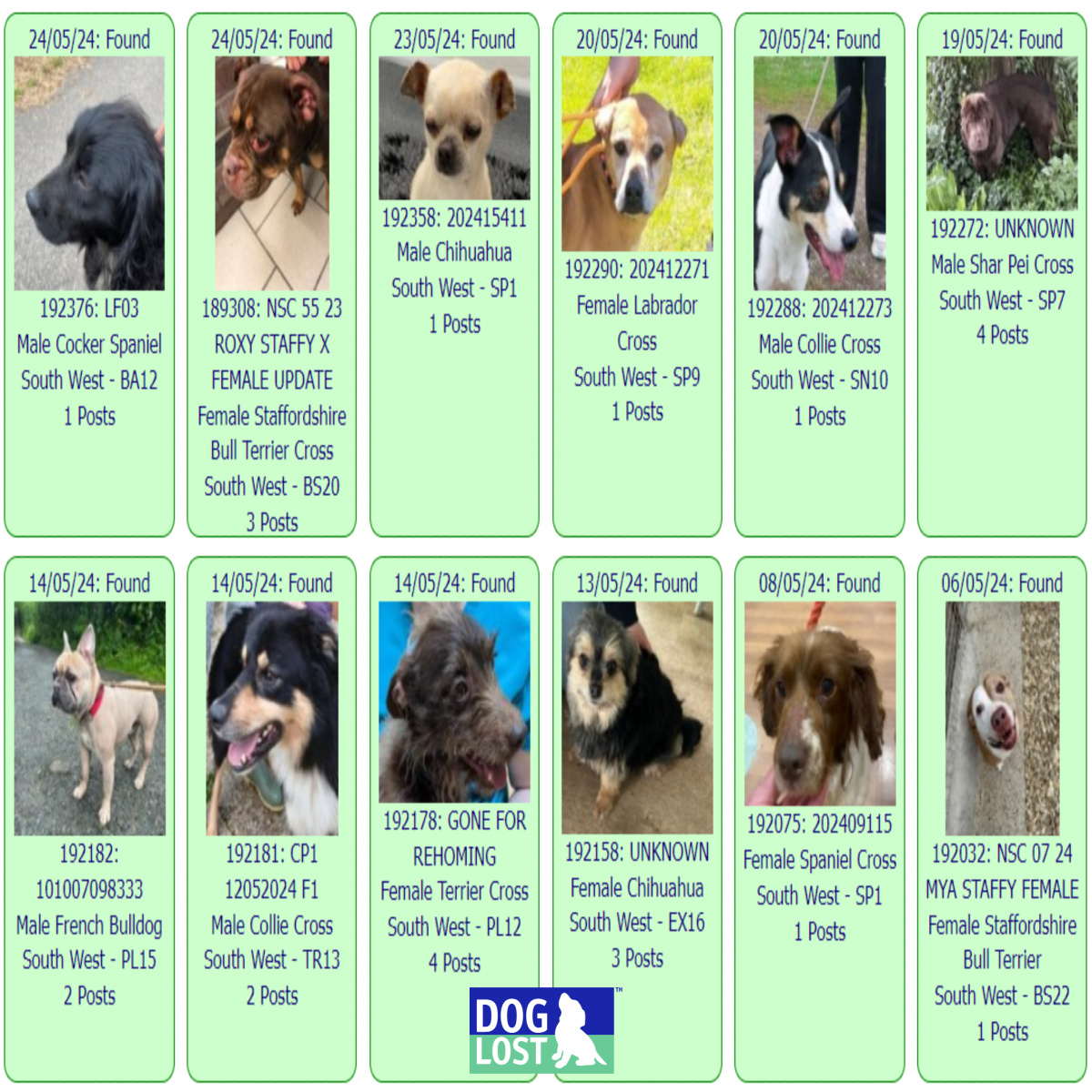 #FOUND #DOGS * SOUTH WEST * May 24th ~ May 6th 2024 These #FoundDogs are on the @DogLost_UK site as being FOUND in our #SouthWest Area #UK If you see your dog below go to doglost.co.uk and put the ID NUMBER (shown under the photo) into the search menu for more details