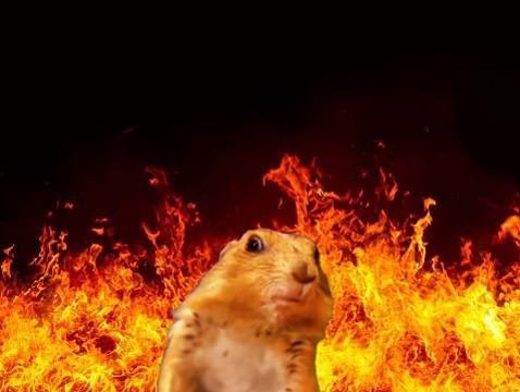 chiponsol tweet media