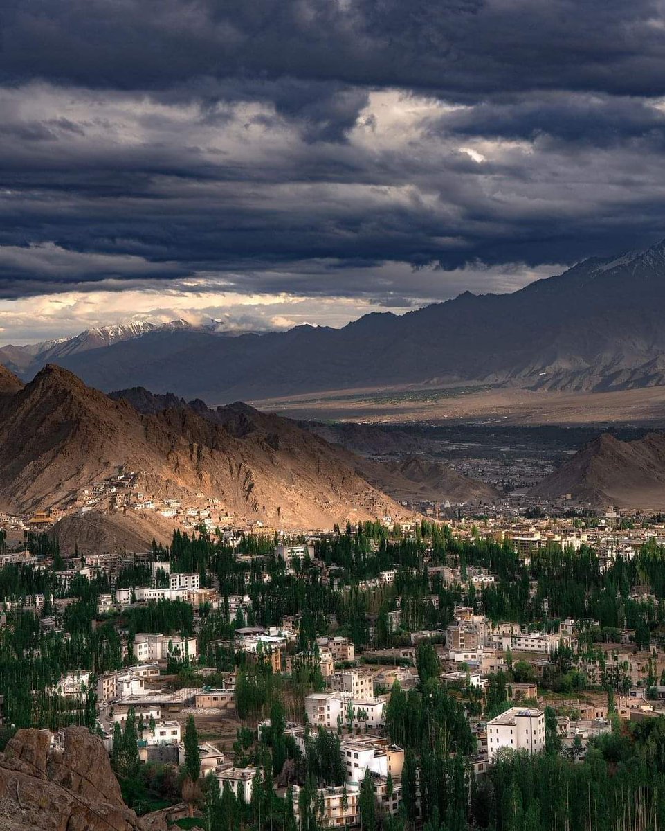 Every waking moment here feels like a dream in Ladakh ❤️🇮🇳