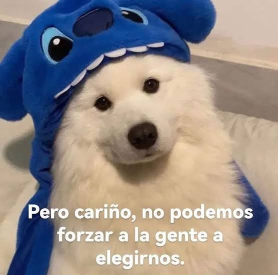 textosnublados's tweet image. 